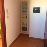 Rent 2 bedroom apartment of 35 m² in Olbia