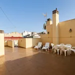 Rent 6 bedroom apartment in Alicante