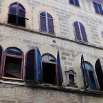 Rent 1 bedroom apartment in Florence