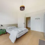 Rent a room in brussels