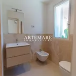 Affitto 6 camera casa di 220 m² in Pietrasanta