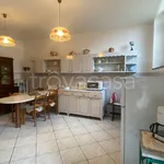 Rent 5 bedroom apartment of 160 m² in Lucca