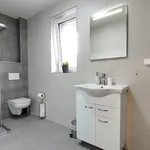 Rent 3 bedroom apartment in Český Krumlov