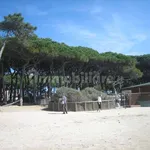 3-room flat via lago di Misurina, 5, Cassarello, Senzuno, Salciaina, Follonica