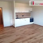 Rent 2 bedroom apartment of 47 m² in Ústí nad Labem