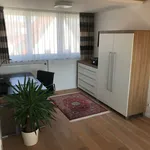 Rent 1 bedroom apartment of 45 m² in Sindelfingen