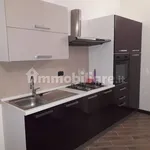 Rent 1 bedroom apartment of 45 m² in Pavia