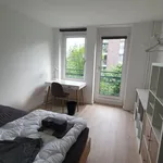 Miete 1 Schlafzimmer wohnung von 11 m² in Hamburg