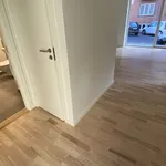 Rent 1 bedroom apartment of 52 m² in Randers C