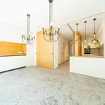 Rent 4 bedroom house of 369 m² in Brussel