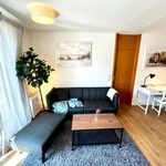 Rent 1 bedroom apartment of 42 m² in Dresden