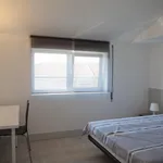 Rent 4 bedroom apartment in Coimbra