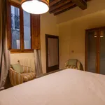 Rent 1 bedroom apartment in Florence