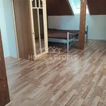 Rent 1 bedroom apartment of 50 m² in Teplá