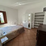 Rent 2 bedroom apartment of 60 m² in Abbiategrasso