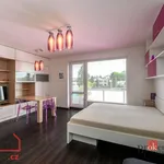 Rent 1 bedroom apartment of 43 m² in Pilsen