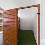 Rent 1 bedroom apartment in Sydney