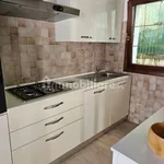 Rent 3 bedroom apartment of 90 m² in Padua