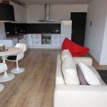 Rent 1 bedroom apartment of 40 m² in Maastricht