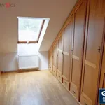 Rent 4 bedroom apartment of 155 m² in Praha