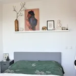 Rent 2 bedroom apartment of 44 m² in Rijnstraat