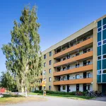 Rent 1 bedroom apartment of 25 m² in Skellefteå