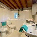 Rent 4 bedroom apartment of 72 m² in Pisa