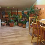 Rent 1 bedroom house in Litoměřice