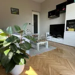 Rent 3 bedroom apartment of 75 m² in Torino