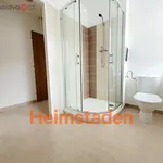 Rent 1 bedroom apartment of 29 m² in Havířov