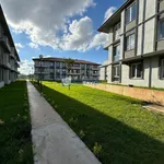 Rent 3 bedroom apartment of 65 m² in Karasu