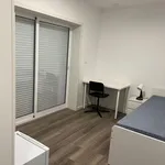 Rent 8 bedroom apartment in Porto