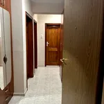 Rent 3 bedroom apartment of 125 m² in Каменица 1