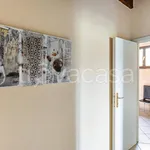 Rent 2 bedroom apartment of 85 m² in Verona