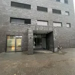 Rent 3 bedroom apartment of 159 m² in Enschede