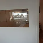 Rent 1 bedroom apartment in Palma de Mallorca