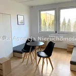 Rent 2 bedroom apartment of 43 m² in Wałbrzych