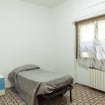 Rent a room in Guidonia Montecelio