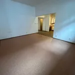 Rent 3 bedroom apartment of 90 m² in Prague