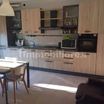 Rent 3 bedroom apartment of 113 m² in Carugate