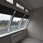 Rent 1 bedroom flat in Peterborough