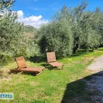 Rent 3 bedroom house of 100 m² in Monreale