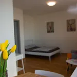 Rent 1 bedroom apartment of 39 m² in Prague