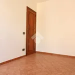 Rent 4 bedroom apartment of 100 m² in Trapani