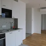 Miete 2 Schlafzimmer wohnung von 44 m² in Knoten Floridsdorf