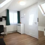 Rent a room of 270 m² in Prague