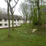 Rent 2 bedroom apartment of 47 m² in Gelsenkirchen