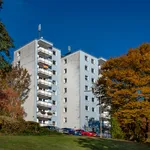 Rent 3 bedroom apartment of 66 m² in Siegen