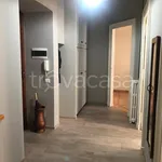 Rent 2 bedroom apartment of 65 m² in Torino