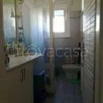 Rent 2 bedroom apartment of 55 m² in Prato